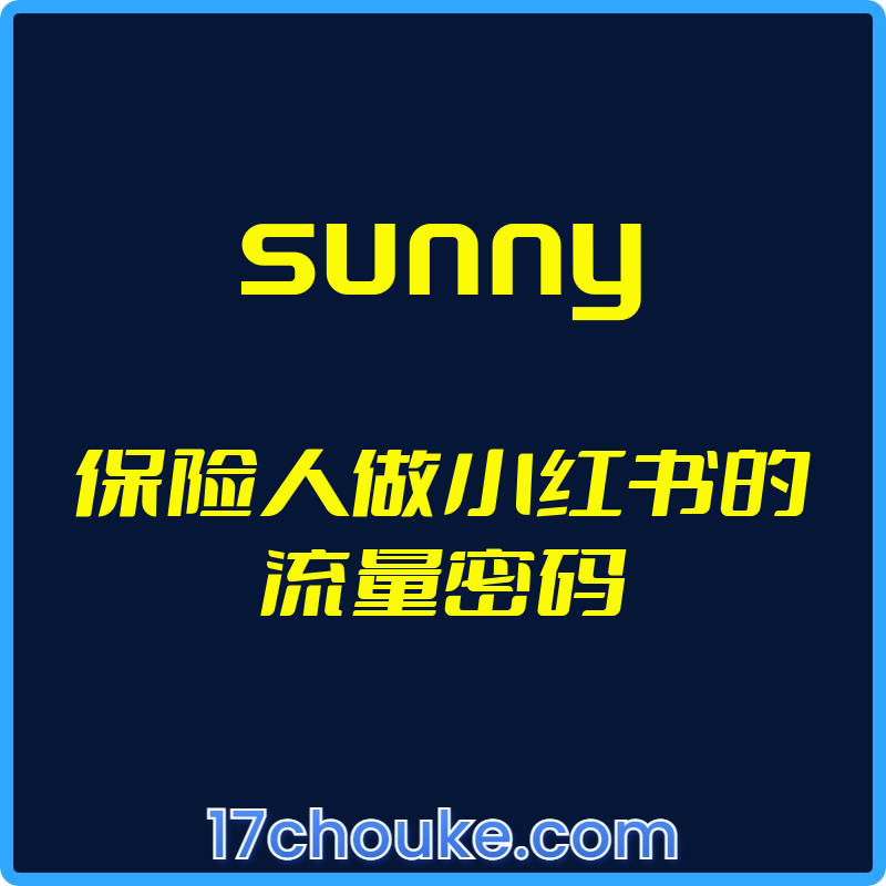 （sunny）保险人做小红书的流量密码【视频：19节】-一起筹课网