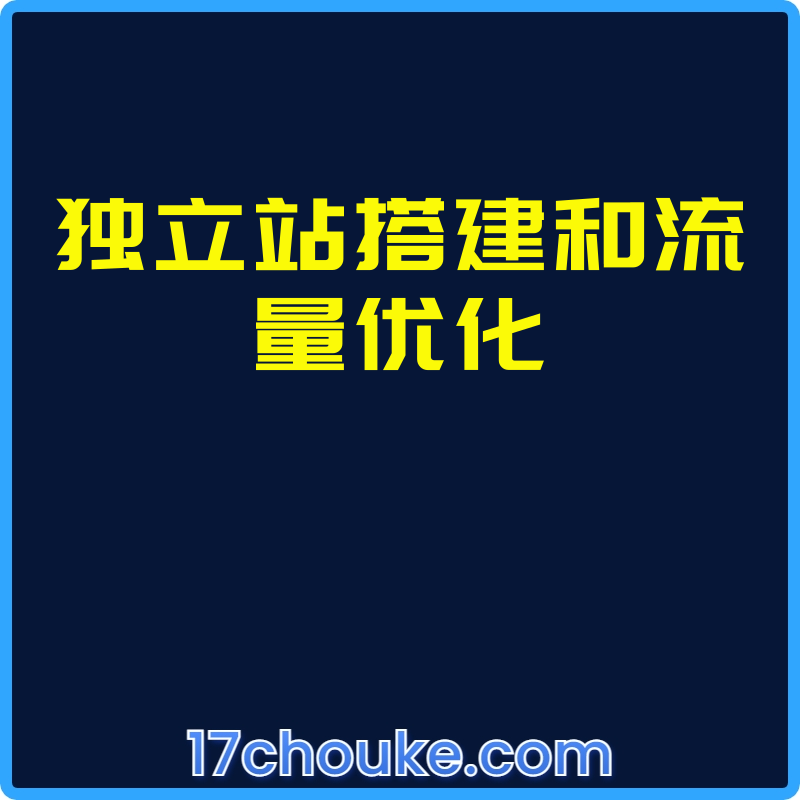 独立站搭建和流量优化【视频：56节】-一起筹课网