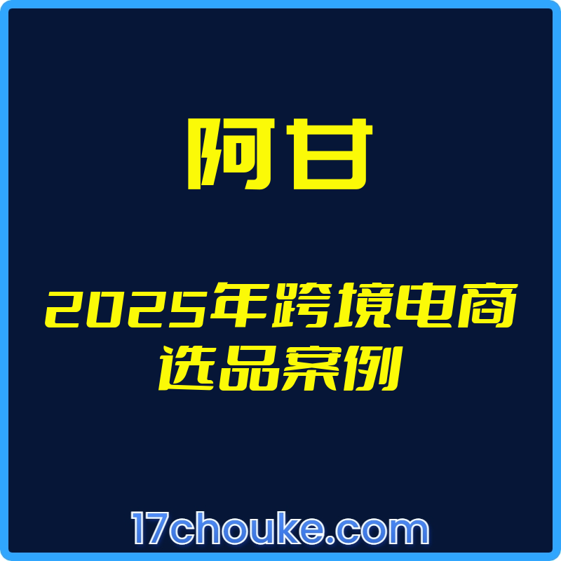 25年01月08日-（阿甘）2025年跨境电商选品案例【视频：12节】-一起筹课网