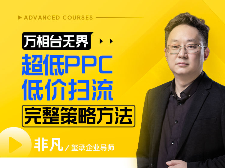 （非凡）【2024新版】超低PPC低价扫流完整策略方法【视频：25节】-一起筹课网