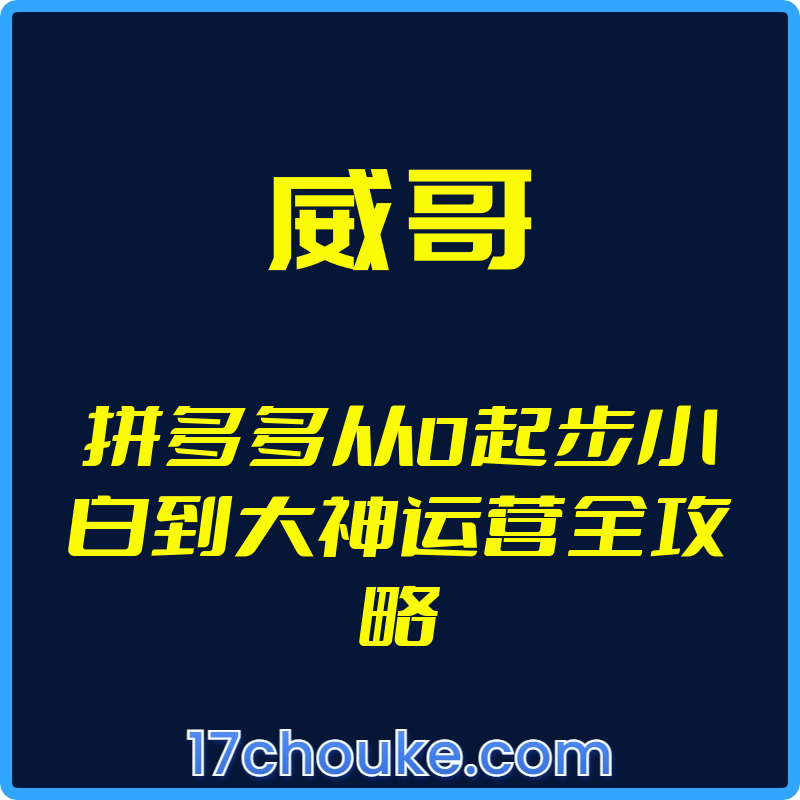 （威哥）拼多多从0起步小白到大神运营全攻略【视频：8节】-一起筹课网