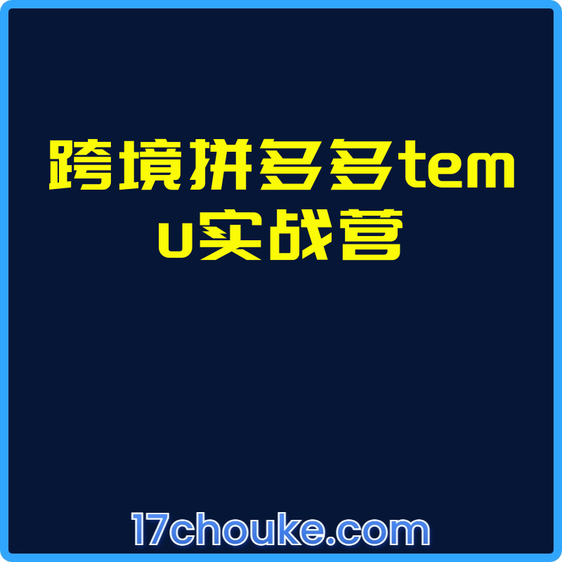 跨境拼多多temu实战营【视频：7节】-一起筹课网
