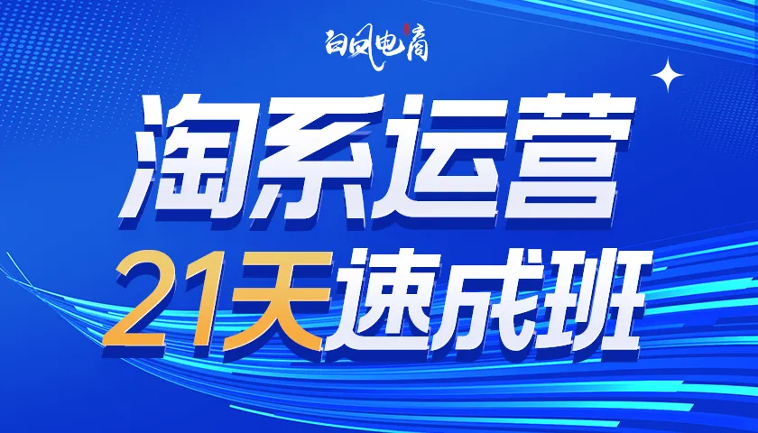 2025年06月13日更新-(白凤电商学院)淘系运营21天速成班