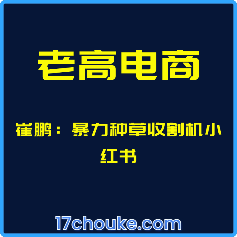 （老高电商）崔鹏：暴力种草收割机小红书【视频：6节】-一起筹课网