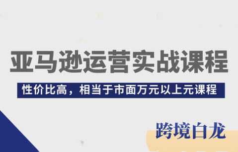 （白龙）亚马逊运营实战课程【视频：71节】-一起筹课网
