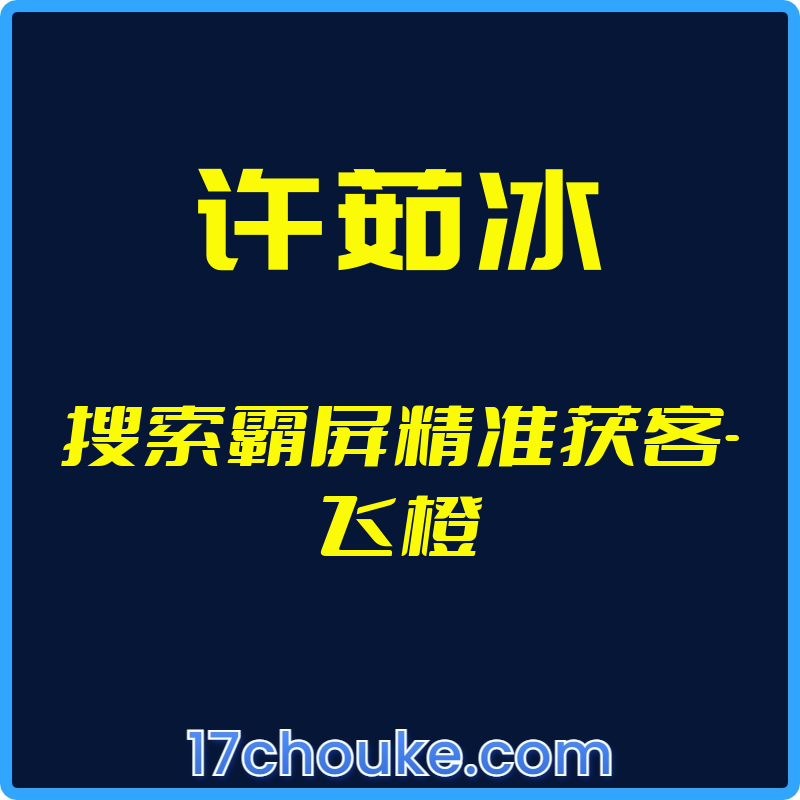 （许茹冰）搜索霸屏精准获客-飞橙【视频：8节】-一起筹课网