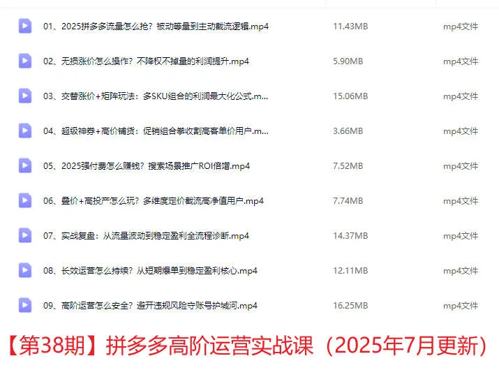 25年07月19日更新(白凤电商)拼多多日销千单训练营