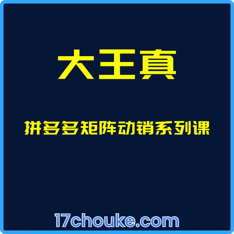 （大王真）拼多多矩阵动销系列课【课程：25节】-一起筹课网