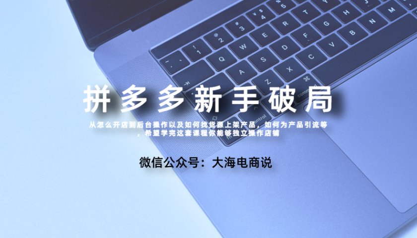 25年04月28日-（大海）拼多多新手破局课-一起筹课网
