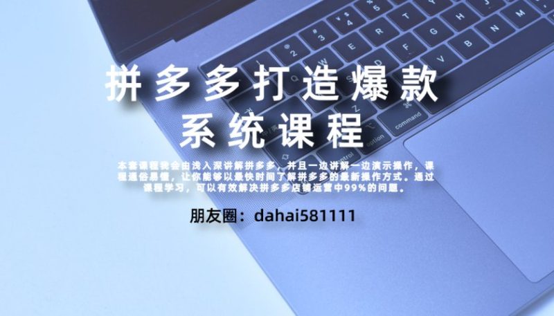 25年04月28日-（大海）拼多多高阶打造爆款全套课程-一起筹课网