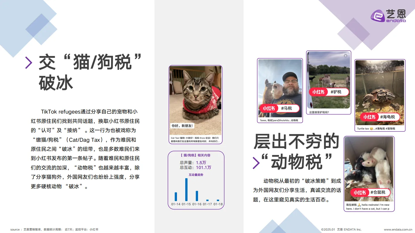 图片[4]-2025年TikTok用户转战小红书跨越语言与文化的社交迁徙报告-艺恩.pdf-一起筹课网