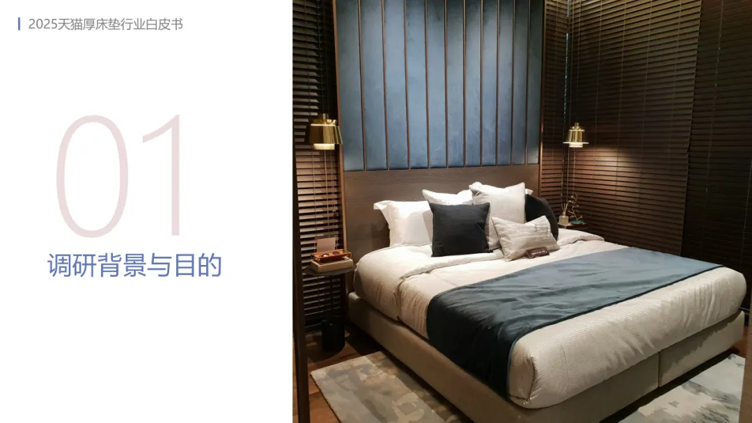 2025年天猫厚床垫行业白皮书-MIC天猫新品创新中心.pdf