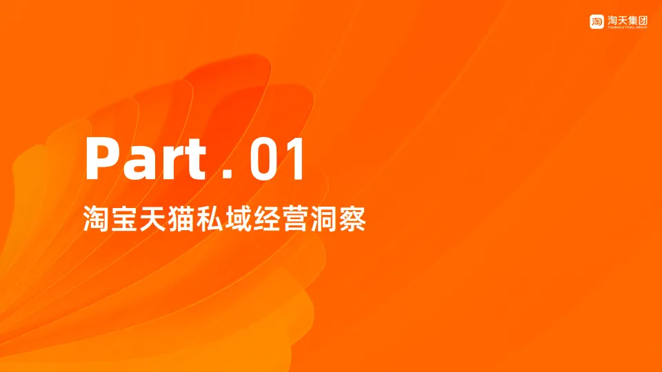淘宝天猫商家私域经营手册.pdf