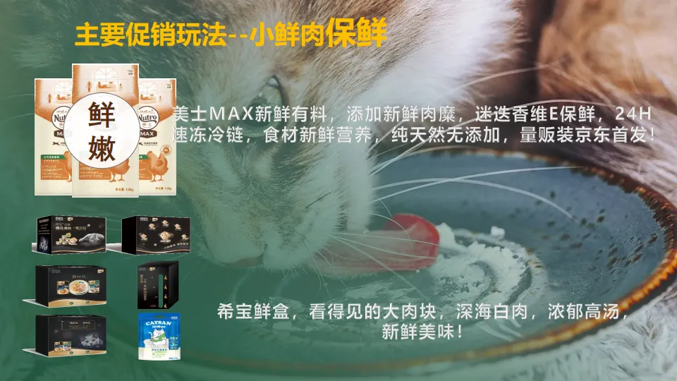 图片[10]-京东X玛氏宠物耍大牌营销方案.pdf-一起筹课网