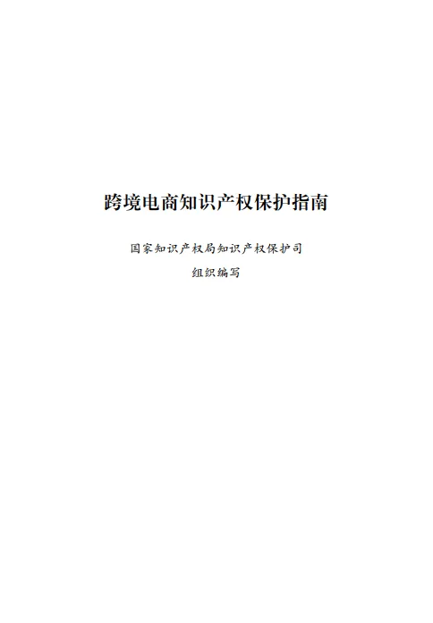 2024年跨境电商知识产权保护指南-国家知识产权局.pdf-一起筹课网
