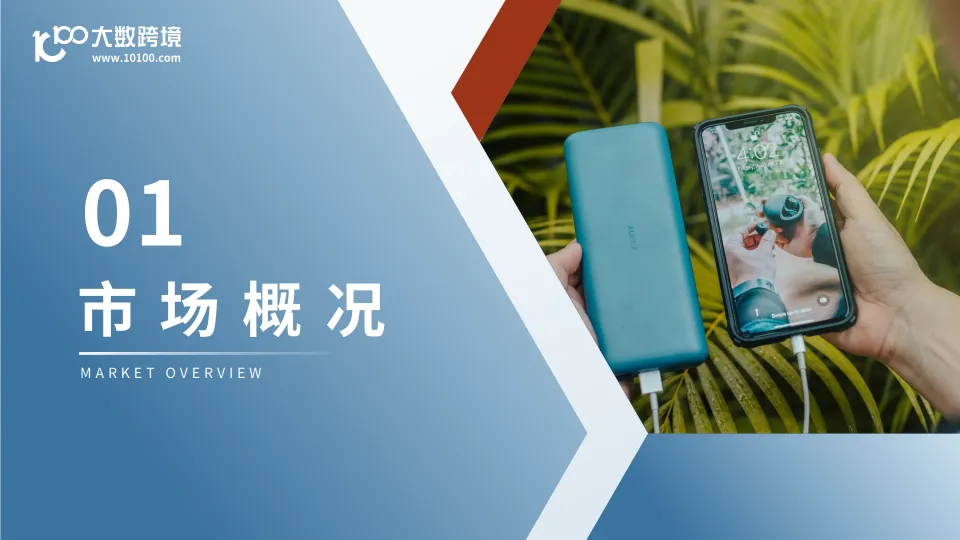 2025全球移动电源市场洞察报告-大数跨境.pdf