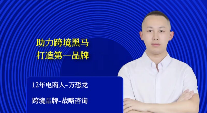 (万恐龙跨境)跨境电商品牌-亿级卖家增长战略【视频:11节】-一起筹课网
