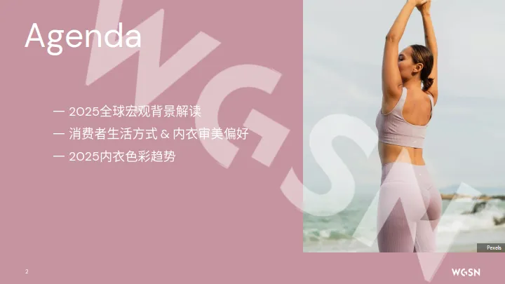 2025年度内衣色彩趋势联合发布报告-WGSN&MIIOW.pdf