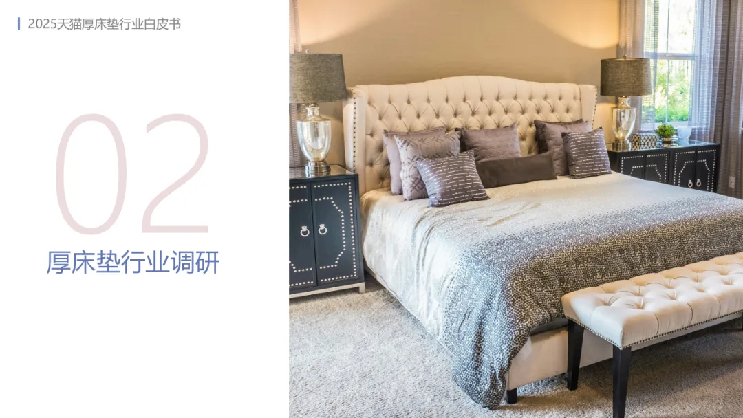 2025年天猫厚床垫行业白皮书-MIC天猫新品创新中心.pdf