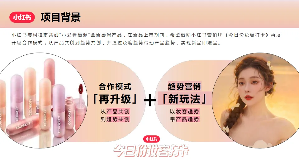 2025年小红书X美妆品牌 打卡在逃公主妆合作结案.pdf