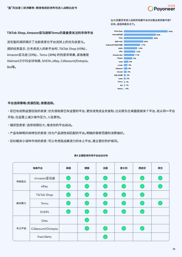 图片[10]-2025年“盈”风加速｜欧洲聚焦：跨境电商欧洲市场进入战略白皮书-派安盈.pdf-一起筹课网