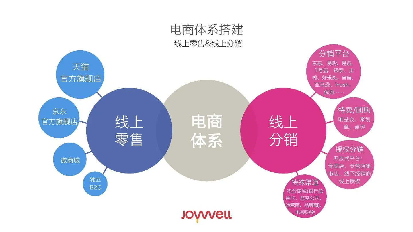 瑞士军刀品牌天猫旗舰店年度运营建议案【电商运营】【电商代运营】.pdf