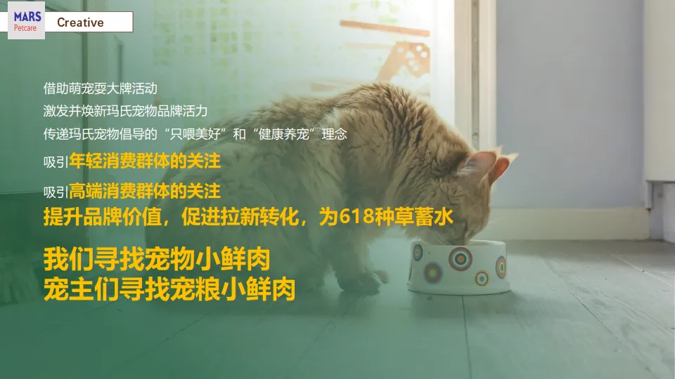 图片[8]-京东X玛氏宠物耍大牌营销方案.pdf-一起筹课网