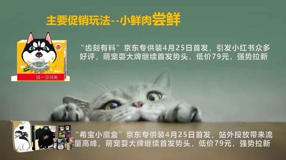 图片[9]-京东X玛氏宠物耍大牌营销方案.pdf-一起筹课网