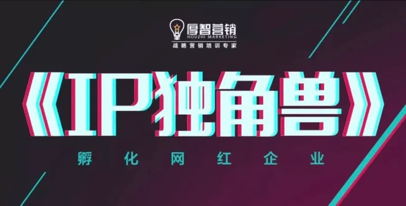 (IP独角兽)孵化网红企业【视频:16节】-一起筹课网