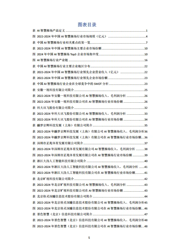 中国AI智慧操场行业研究报告.pdf