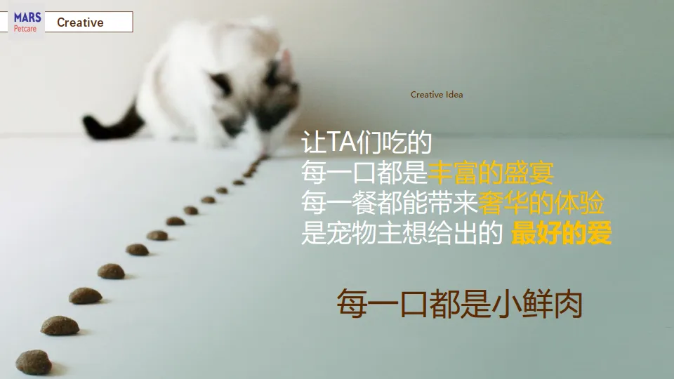 图片[6]-京东X玛氏宠物耍大牌营销方案.pdf-一起筹课网