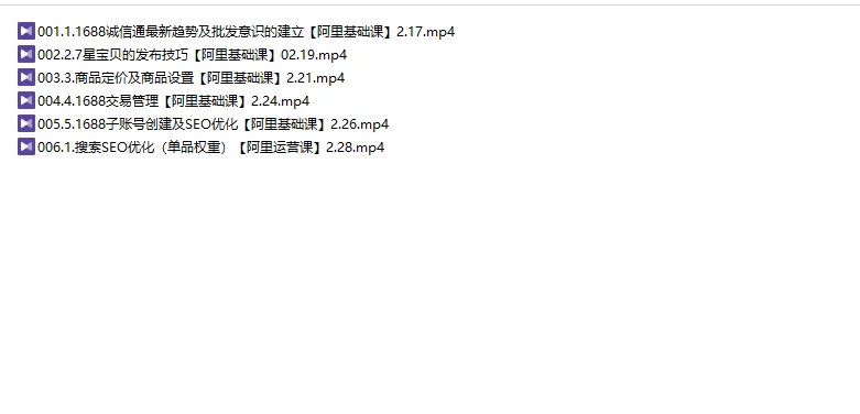 阿里巴巴运营精英实操班2025年[价值9800元]【视频：42节】