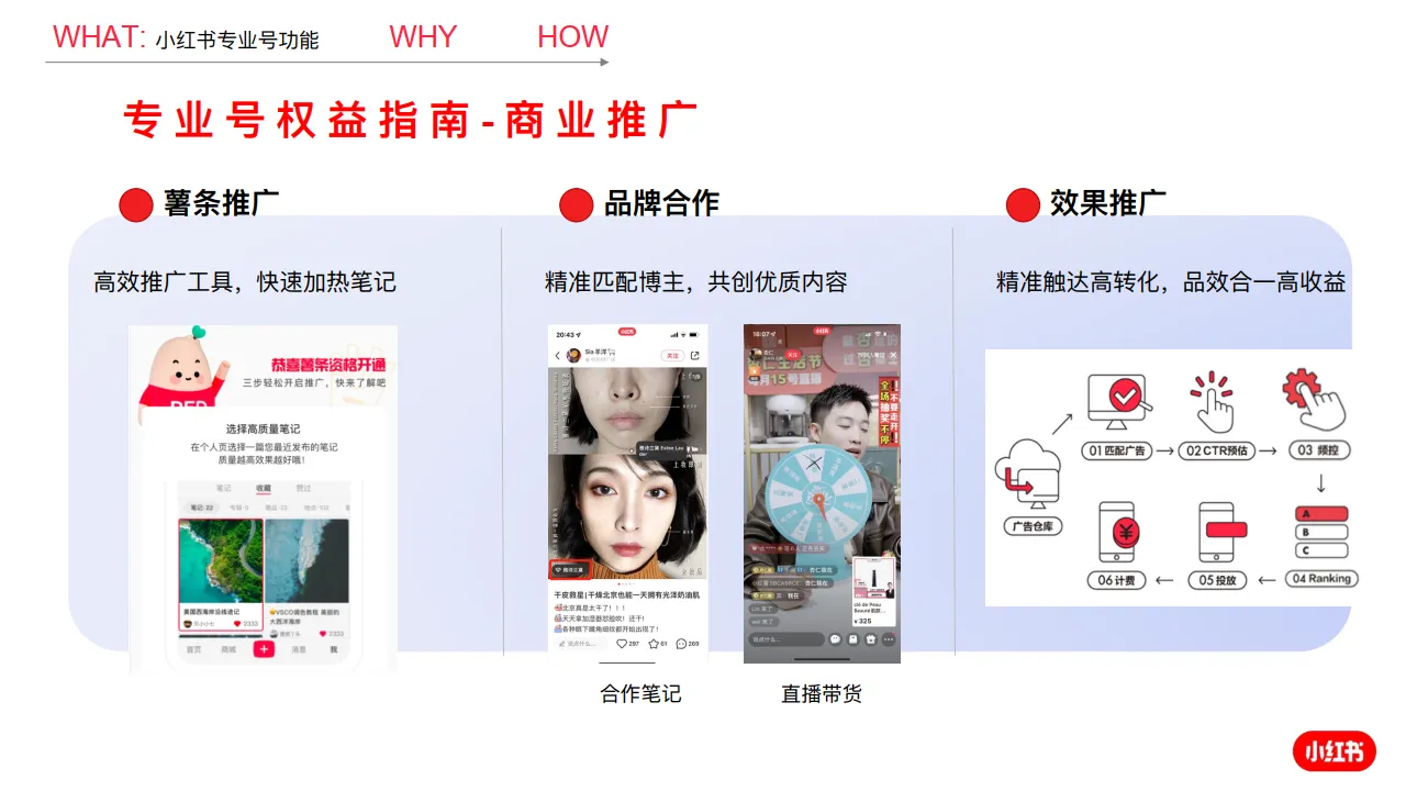 图片[10]-小红书专业号运营建议.pdf-一起筹课网