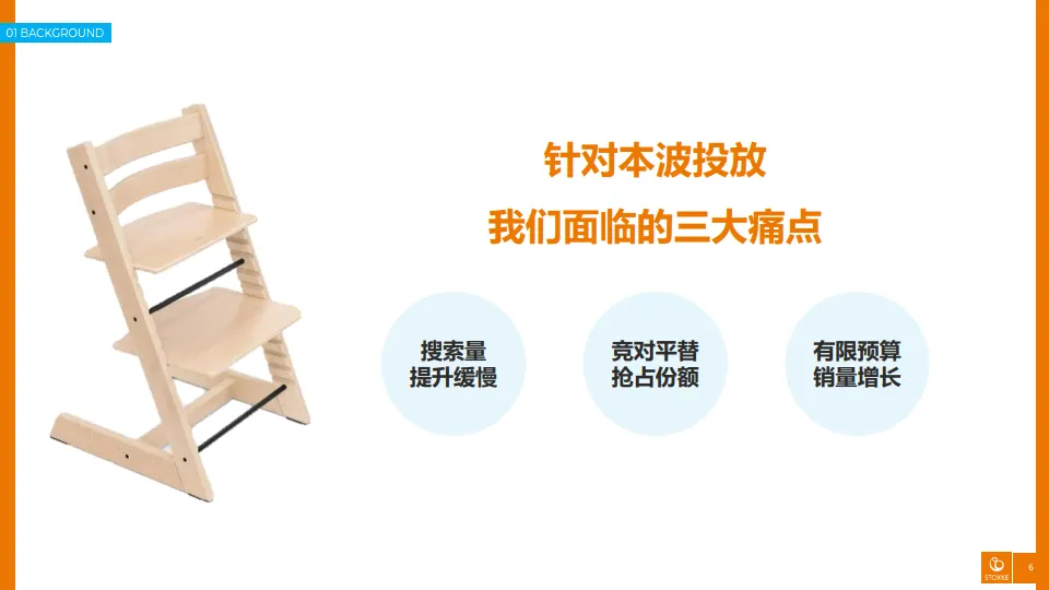 大促战役中撬动种草转化双丰收-Stokke&小红书.pdf
