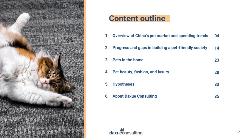 2025年中国宠物经济报告（英文版）-Daxue Consulting博圣轩.pdf