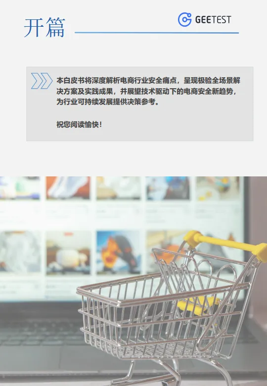 2025年电商行业安全白皮书-极验.pdf