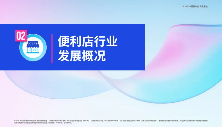 2025年中国便利店发展报告-毕马威.pdf