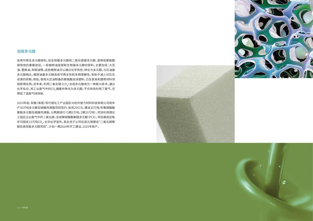 2025绿色低碳建筑材料白皮书——聚氨酯与聚碳酸酯篇-思创&同济大学.pdf