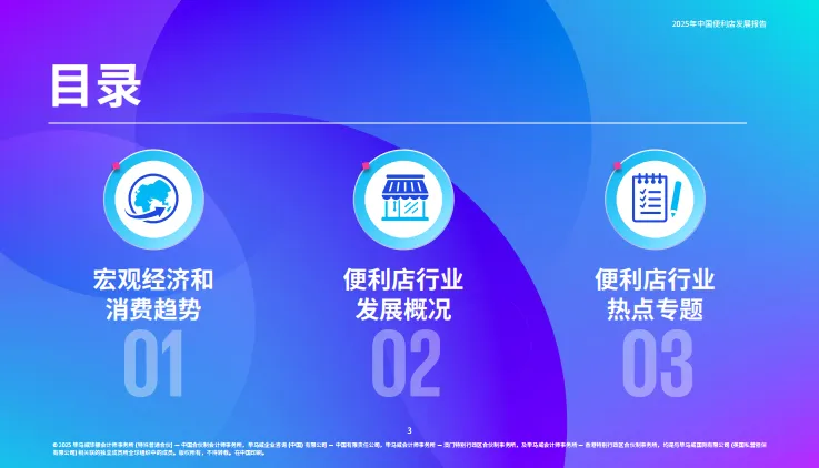 2025年中国便利店发展报告-毕马威.pdf