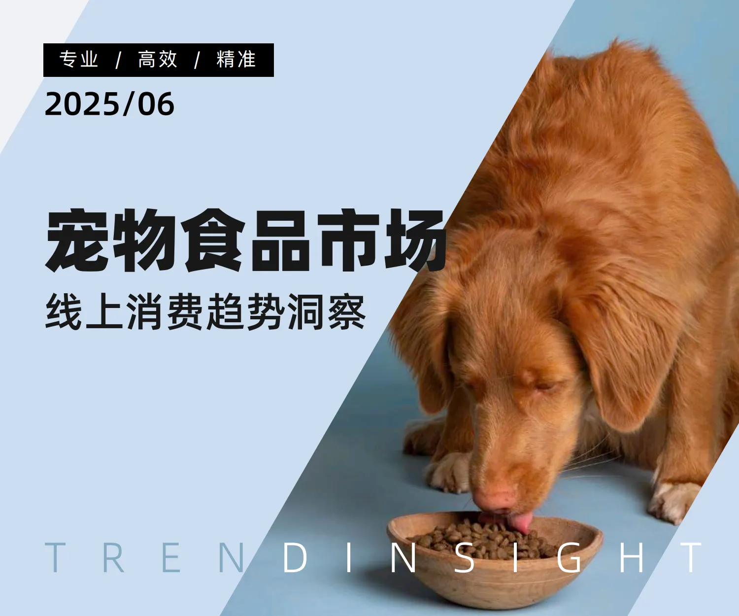 2025年宠物食品市场线上消费趋势洞察-炼丹炉.pdf-一起筹课网