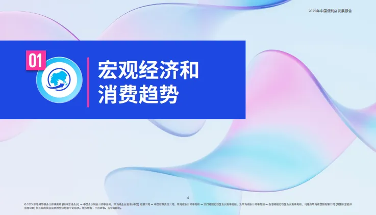 2025年中国便利店发展报告-毕马威.pdf