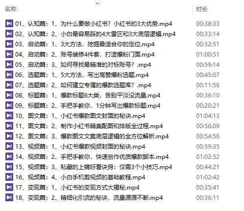 99+小红书训练营『价值1299元』【视频:18节】