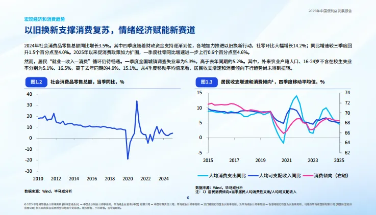 2025年中国便利店发展报告-毕马威.pdf