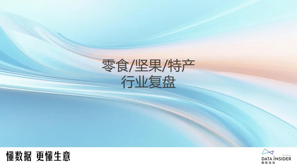 2024年食品行业年度复盘（盐津铺子、华夏丝路、白象）-113页-解数咨询.pdf