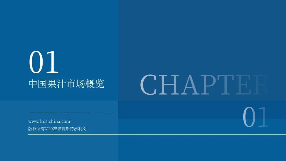 2024年中国果汁市场洞察与实践白皮书.pdf