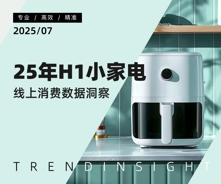 2025年H1小家电线上消费数据洞察-炼丹炉.pdf-一起筹课网