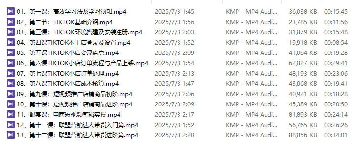 图片[3]-TikTok出海计划陪跑训练营【视频：13节】-一起筹课网