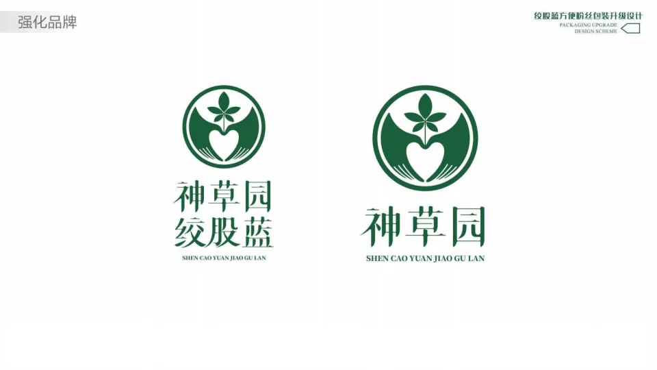 绞股蓝方便粉丝包装升级设计方案_9.png