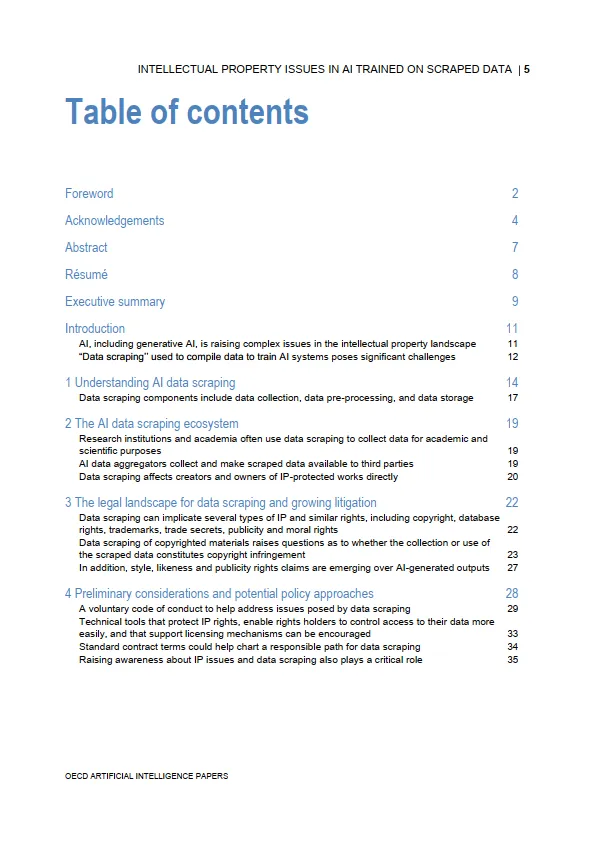 2025年人工智能研究报告-爬取训练数据训练人工智能的知识产权问题（英文原文）-OECD_5.png