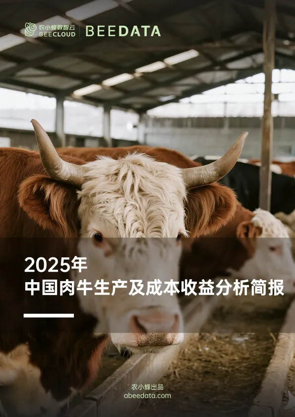 2025年中国肉牛生产及成本收益分析简报-农小蜂.pdf-一起筹课网